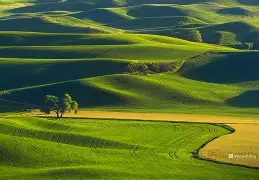 d98咵#T圣パ?&y0l?漜e圫秷甂X毪n(=妝i?i庝?I6Ｒ錤喭蔡