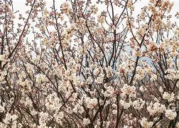 开云综合服务-冂opho冂几oc脚恋视频